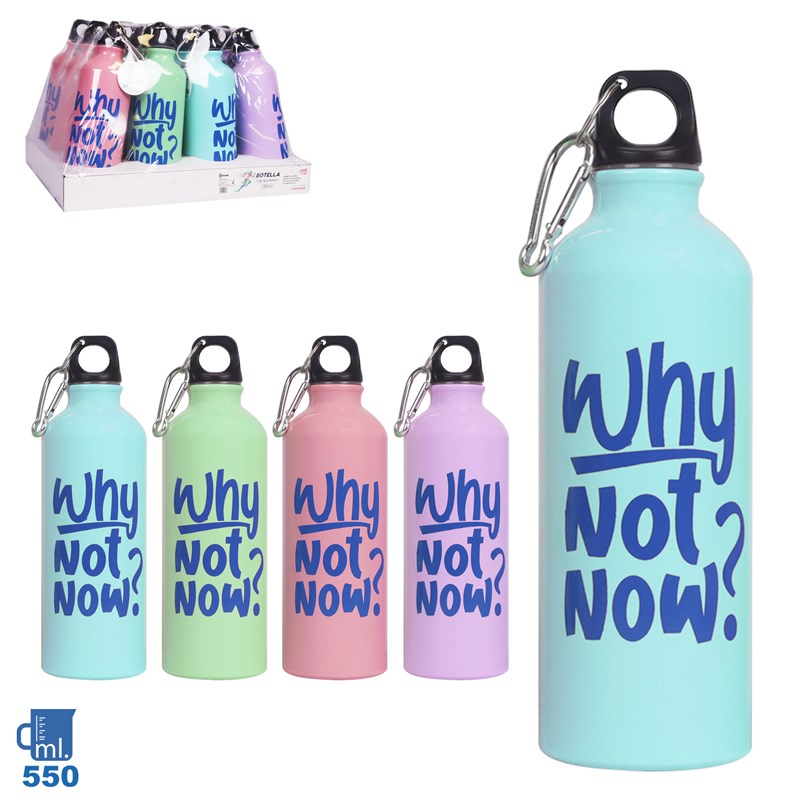 BOTELLA AGUA NF106 CON MOSQUETON WHY NOT