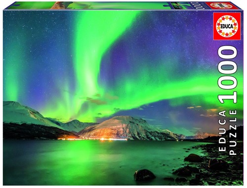 PUZZLE 17967 1000 AURORA BOREAL